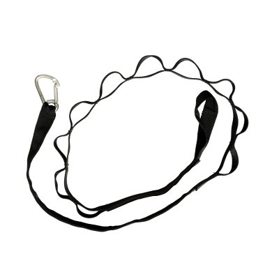 pilates safety strap alpha pilates